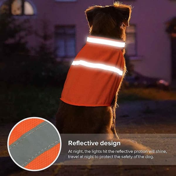 Reflekterande väst för hund, hög synlighet, justerbar rem, säkerhetsjacka