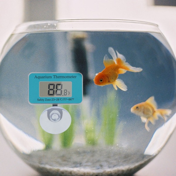 Akvariumtermometer med sugekopp