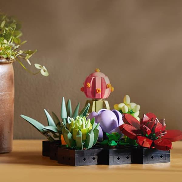 Succulent växtbyggstenar, 771 st Succulent byggsten