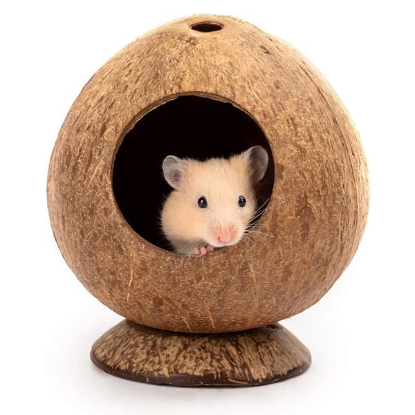 Naturlig kokosnøttskallhus, hamsterhus, for reptiler