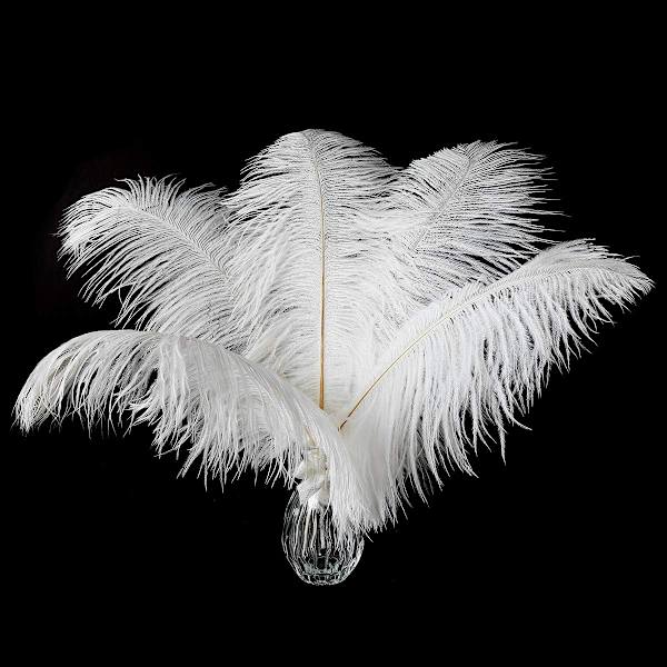 24 stk Champagne Struds fjer i bulk 10-12 tommer Boho fjer