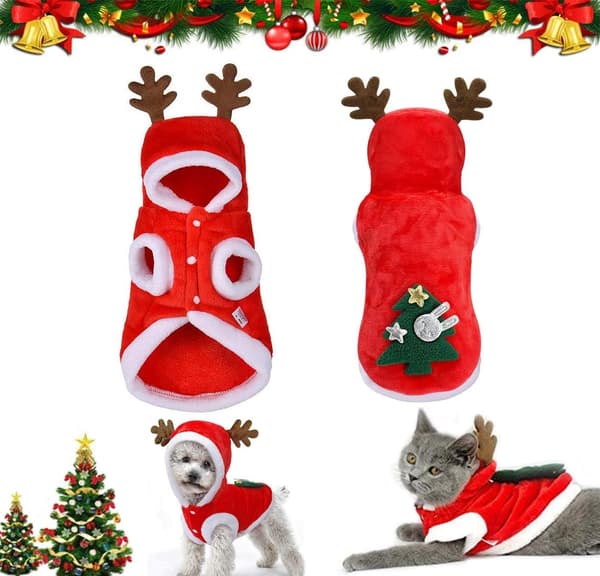 Julekostume til kæledyr, Julekattekostume, Julehund