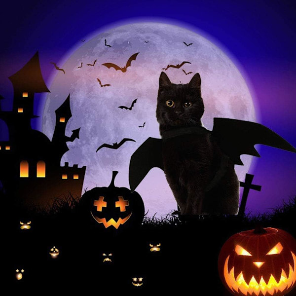 Katt Halloween Kostym Batvingar Husdjurskläder Halloweenfest