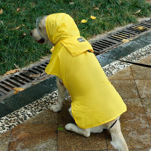Pet Regnjakke Foldbar Med Hetter Regnjakke For Hund Med Refleksstriper