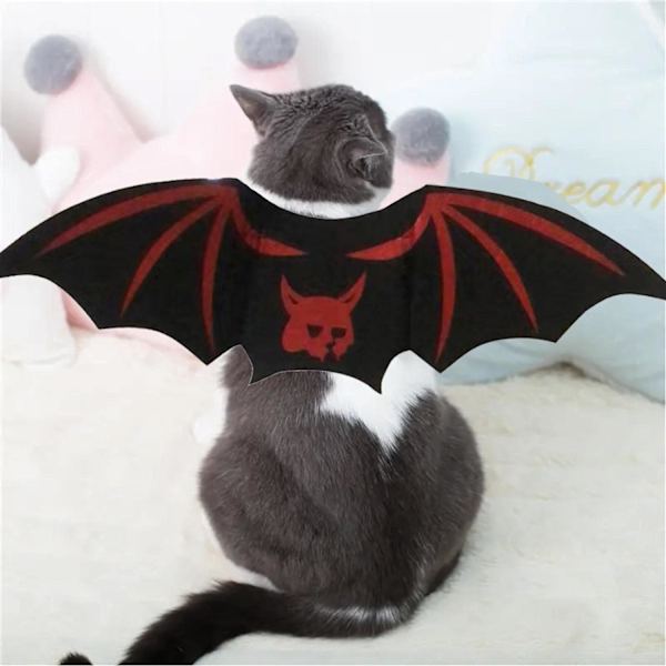 Halloween Kattekostumer, Sød Unik Halloween Kattekostume