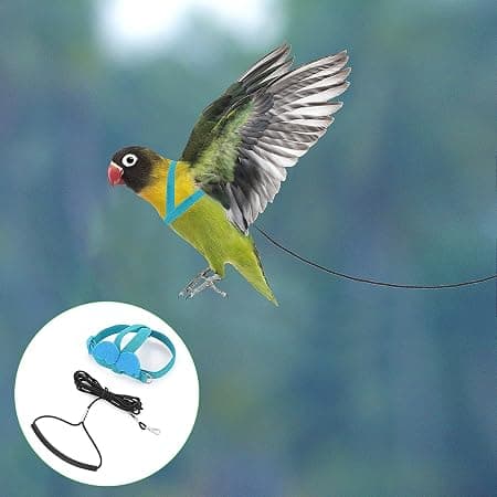 Rope Flight Training til at Justere Nylon Rope Fugle Sele og