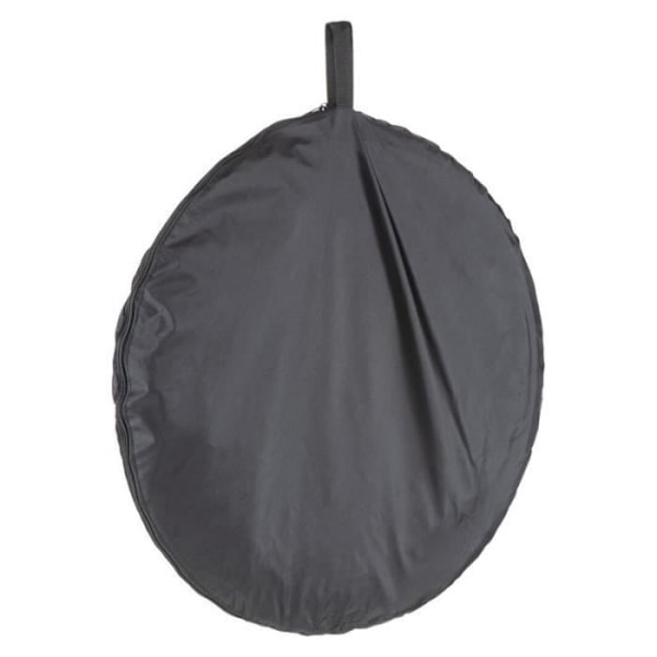 Kantportable - GODOX - DT-01 - Korkeus 193cm - Kuljetuslaukku - Harmaa