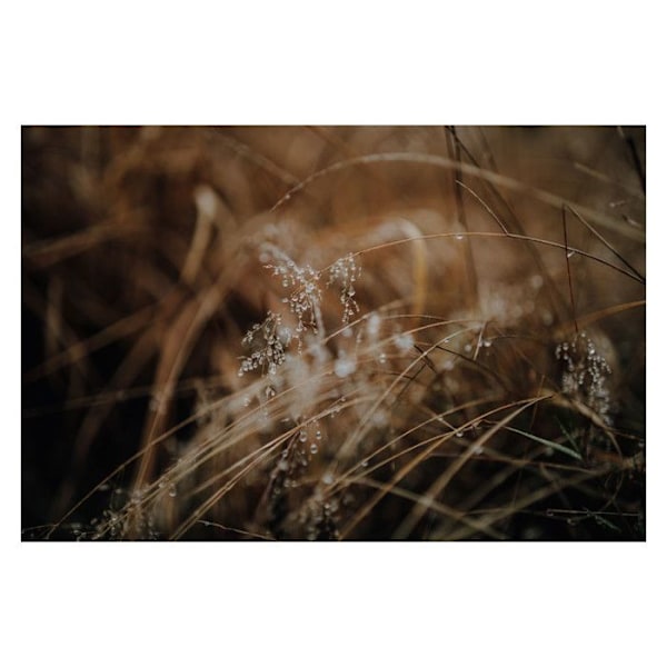 Objektiv med Fast Blænde - Sigma - 50mm F/1.4 DG DN ART - Blænde F/1.4 - FE Mount - Let og Kompakt