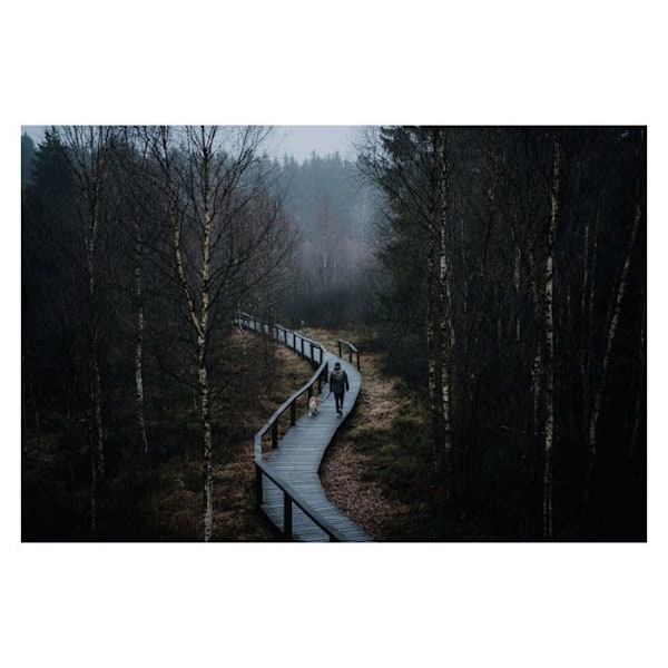 Objektiv med fast brännvidd - Sigma - 50mm F/1.4 DG DN ART - Bländare F/1.4 - FE-fattning - Lätt och kompakt