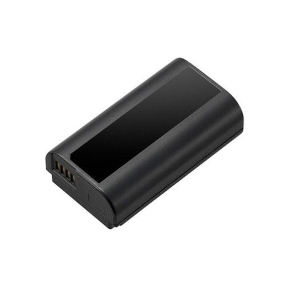 Panasonic-batteri dmw-blj31e för s1/s1r