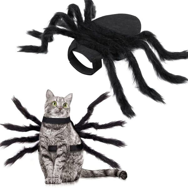 Universelt edderkoppkostume til hunde og katte — Justerbart med Velcro