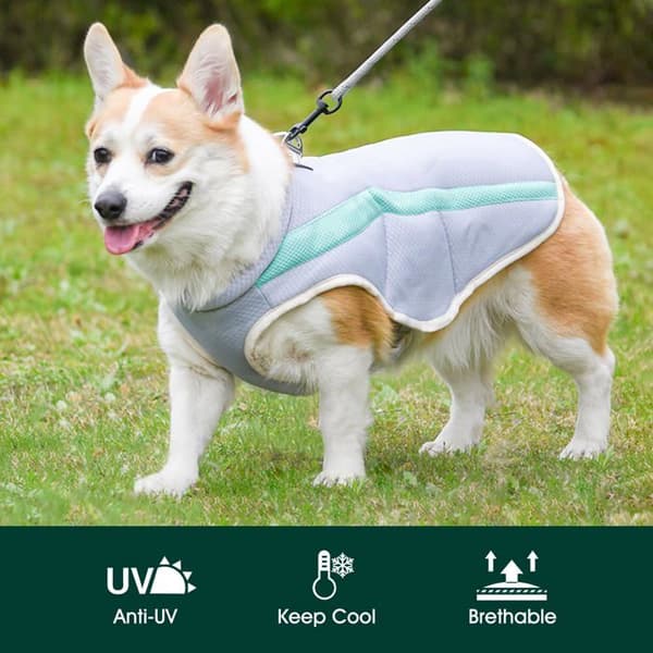 Kølig hundevest - SONGHUI - Justerbar model - Reflekterende - UV-beskyttende - Åndbart mesh