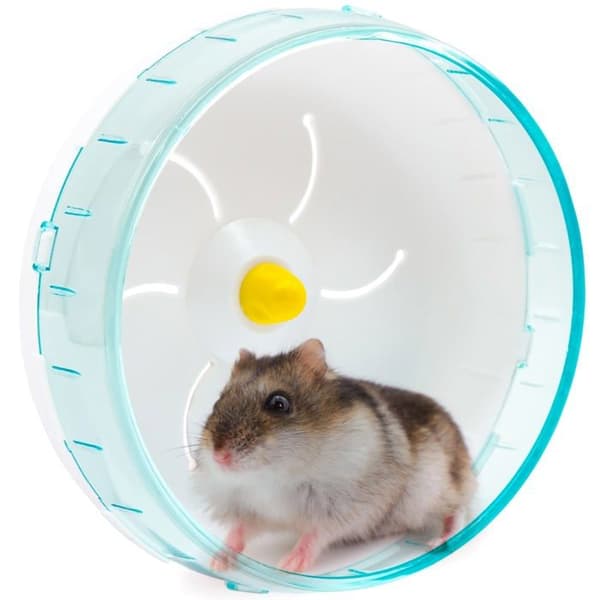 Tyst hjul för hamster - SONGHUI - Universell modell - Transparent akryl - Justerbart stativ - Blå Blå