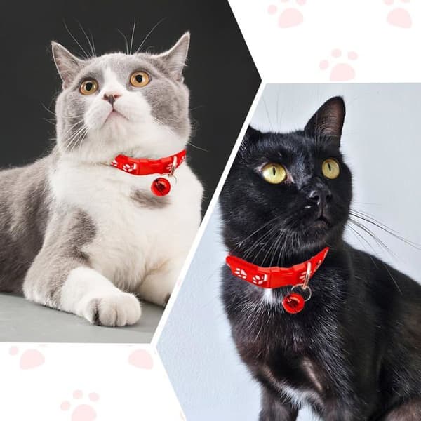 Halsband och koppel set - SONGHUI - Justerbart - För små hundar och katter - Röd - Koppel 120 cm