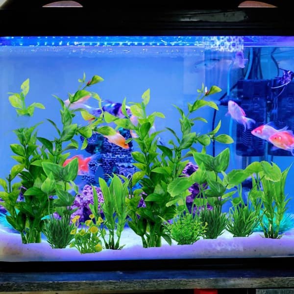 Dekorationer til akvarium, sæt med 2 dele (10 planter i alt), planter til akvarium