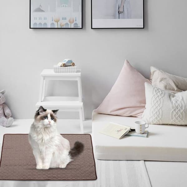 Kølemåtte til hund - SONGHUI - Is-silke - Selvkølende - Blød & ridsefast - Let og foldbar