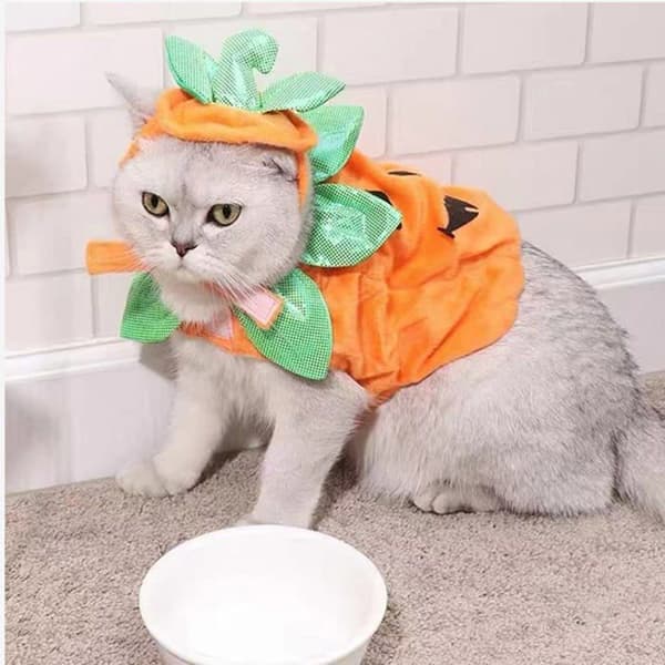 Græskar kostume til kæledyr - Halloween hat og kappe sæt til kat og kappe til hvalp