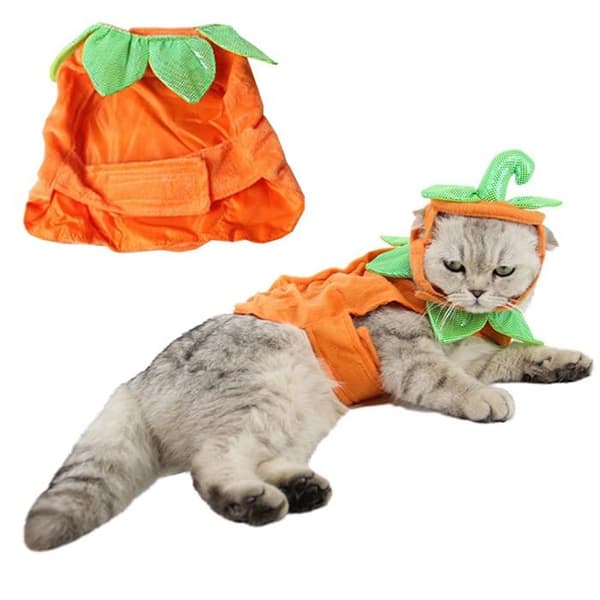Pumpadräkt för husdjur – Halloween-hatt och cape för katt och cape för valp