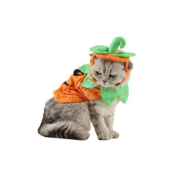 Pumpadräkt för husdjur – Halloween-hatt och cape för katt och cape för valp