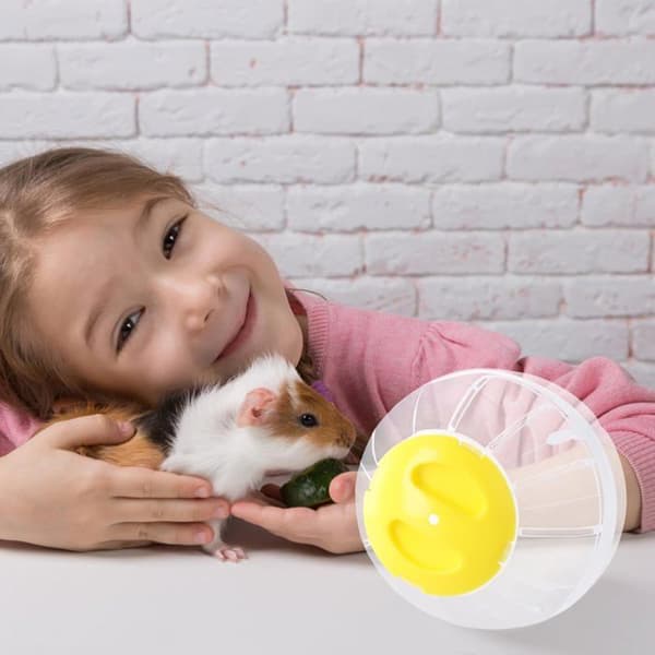 Træningsbold til hamster - SONGHUI - 14,5 cm - gennemsigtig (rosa) - ventileret - låsbar åbning Klar, rosa