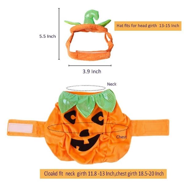 Pumpadräkt för husdjur – Halloween-hatt och cape för katt och cape för valp