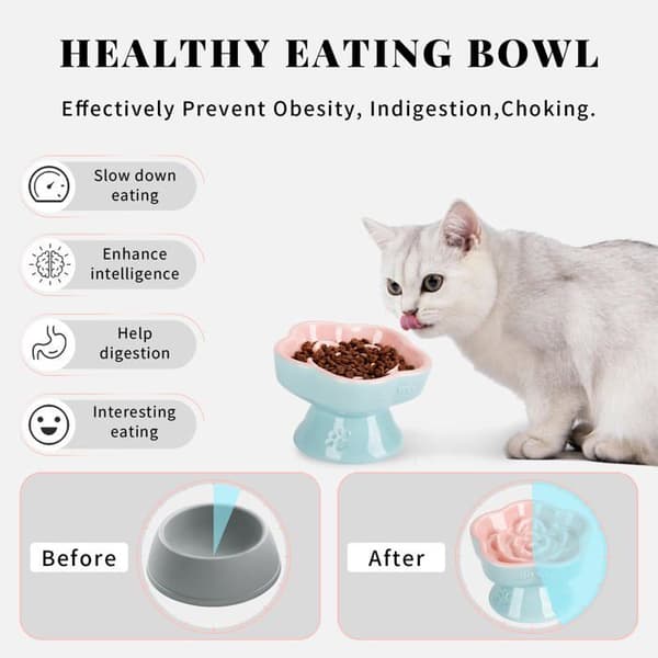 Hævet anti-glutton skål til kat - SONGHUI - Bladdesign - Keramik - 15° hældning - Højde 10,7 cm Ros