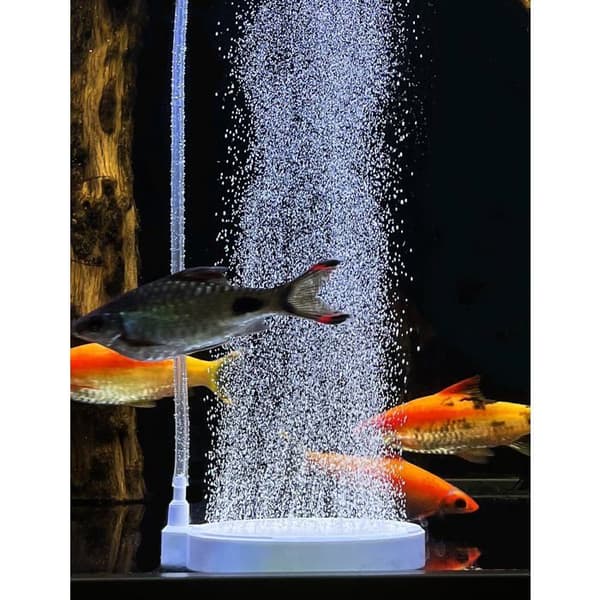 Luftdiffuser til akvarium til iltning (50 mm; luftpumpe og slange ikke inkluderet)