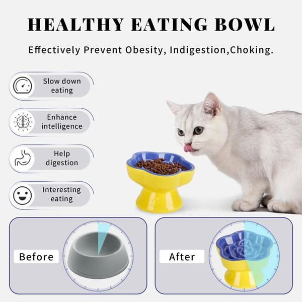 Höjd matskål anti-glutton - SONGHUI - Modell Blomma 5,8" - Keramik - Lutning 15° - Blå Blå