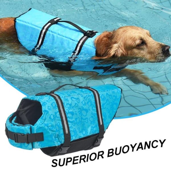 Flytväst för hund – Justerbar, reflekterande design, utmärkt flytkraft (blå benmönster, storlek M)