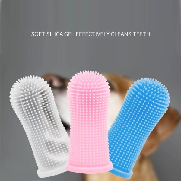 4st fingertandborste tandborste för hund katt hundtandborste hun blå med fodral