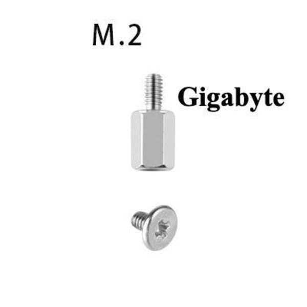 Bundkortsskruer og afstandsstykker til m.2 ssd/nvme montering - kom M.2 Gigabyte