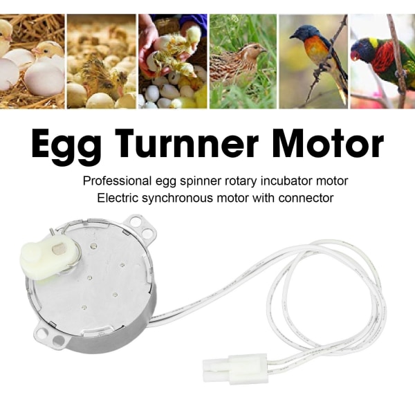 Egg Turnner Motor 4W Egg Turner Rotator -hautomomoottori kanoille ankille hanhilintuille muna 100-120v