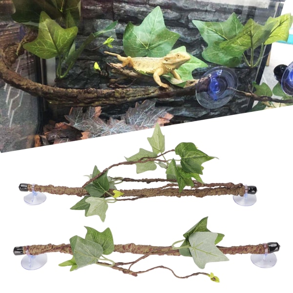 Matelijan kulmaoksan terraariokasvin koristelu imukupeilla sammakkoliskon käärmekiipeilyyn