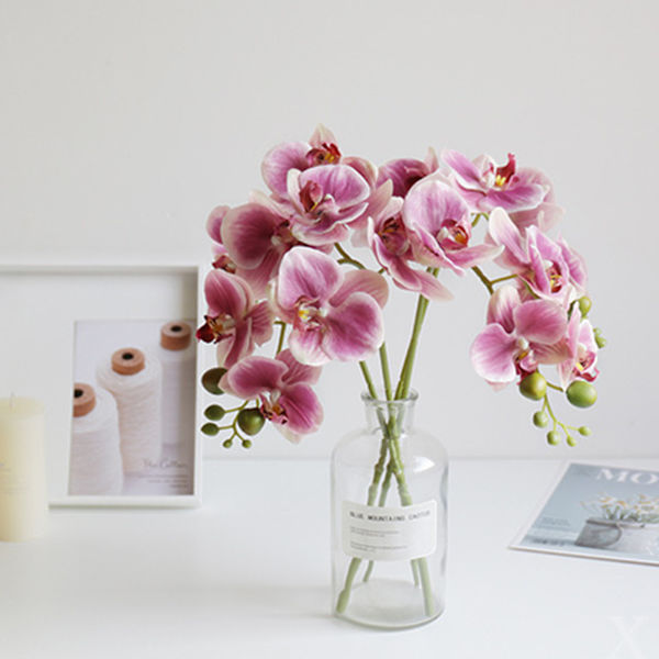 Phalaenopsis Simulering Blommor Artificiell Phalaenopsis Gren