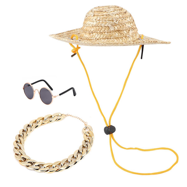 Husdjursmode Solglasögon Retro Halmhatt Halsband Katt Halsband Husdjursfotografering Tillbehör 3 st Set