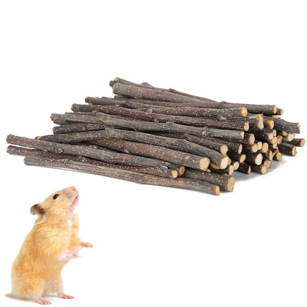200G Kjæledyr Hamster Naturlige Eplepinner Tyggeleker Molar Tenner Leker for Kaniner Hamster
