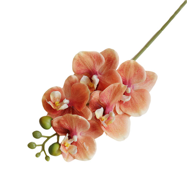 Phalaenopsis Simulering Blommor Artificiell Phalaenopsis Gren