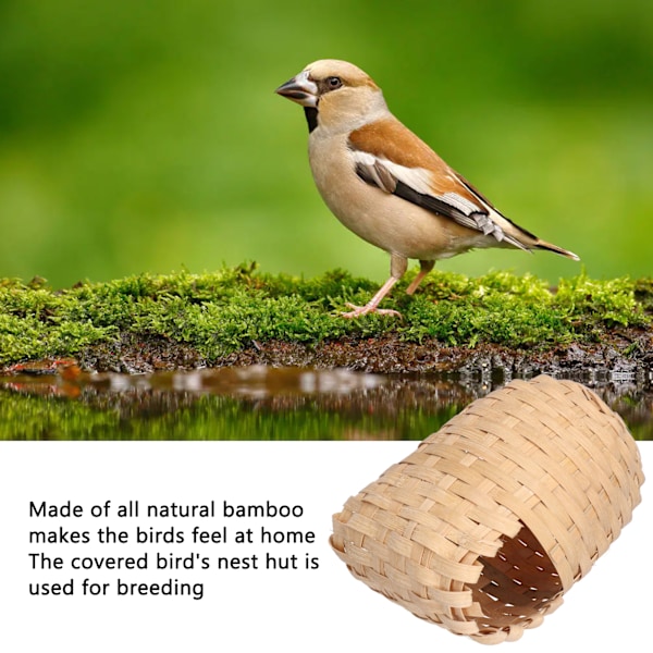 2PCS Naturlig Bambu Fågelbo Handgjord Fågelbo med Hängare för Utomhusträdgård