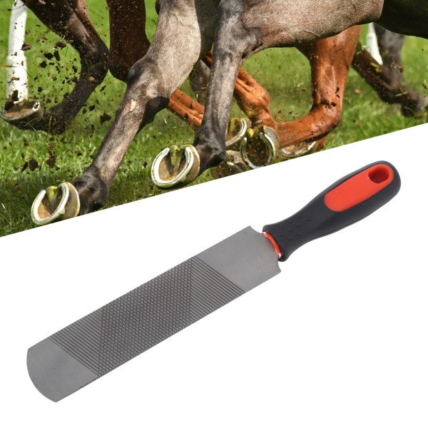 8 tums hovrasp Kolstål Ergonomisk hästskofil Hästskoklippningsverktyg med flexibelt handtag för häst