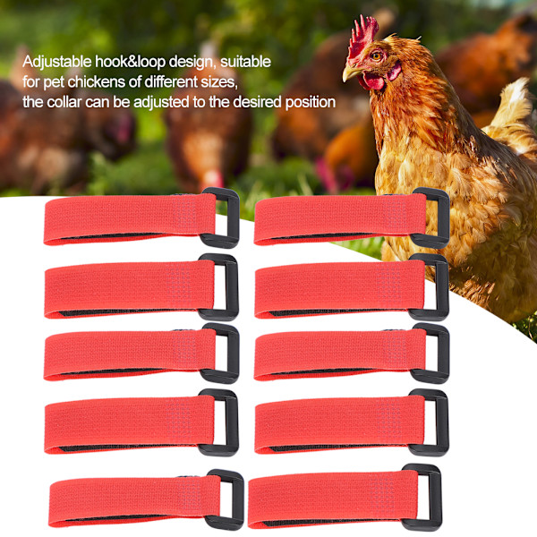 5Bag AntiHook Rooster Nylon Kaulus Melu Kaulapanta Kaulakoru Lemmikkikana Tarvikkeet