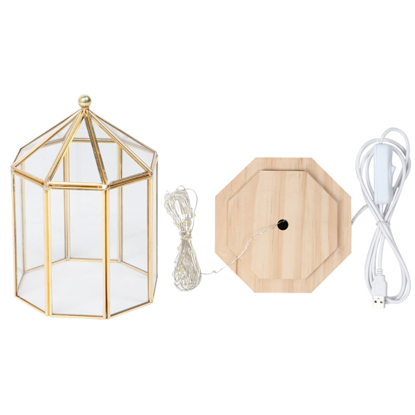 Elegant Planteholder i Glas med Geometriske Former til Sukkulenter - Hjemmedekoration til Haven