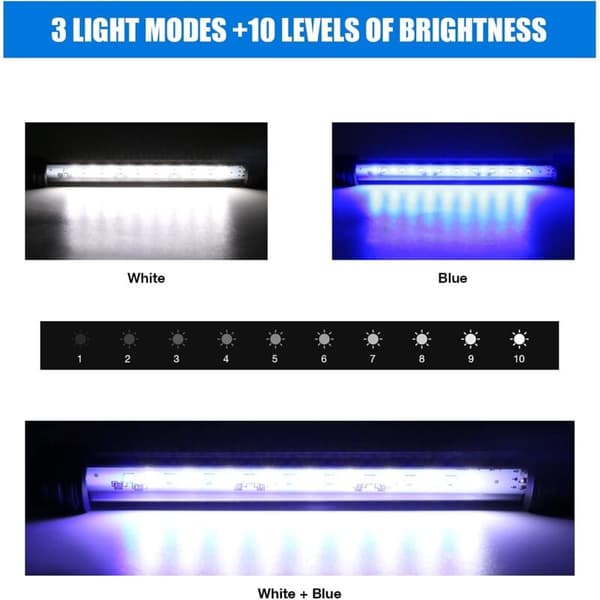LED akvarielys med automatisk timer blå og hvit 3W 20cm