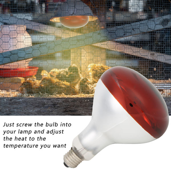 Tiput lämpölamppu infrapunalämmitin Basking Spot Heat Reptile Heat Lamp Punainen lamppu hautomoa varten 220V / 250W