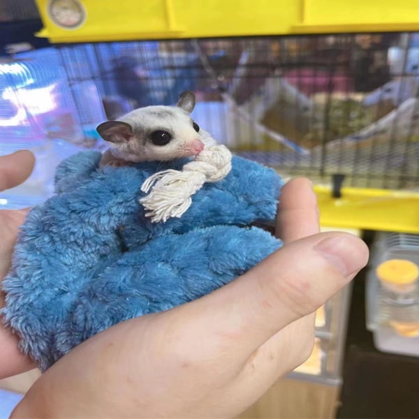 Mjuk och bekväm sovsäck för små husdjur, andningsbar, mini sovpåse för sockerglidare, hamster och små djur, blå