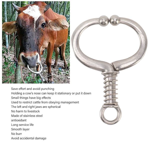 Kvæg Næsering Holdbar Rustfrit Stål Kvæg Ring Sfærisk Kvæg Ring Klemme Træk Til Hjem Gård HL Q4D