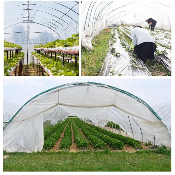 PE Plastfilm Transparent Støvtett Hageplante Deksel Drivhus Landbrukstilbehør 2x10m / 6.6x32.8ft
