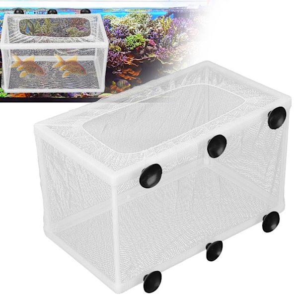Akvarium Fisk Yngelbox Isolering Box Yngel Kläckningsmaskin med SugkoppL