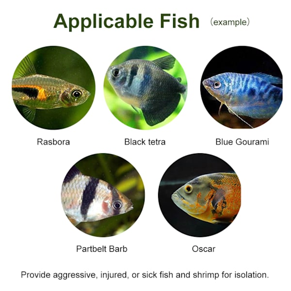 Akryl gennemsigtig fiskebeholder avlsisoleringsboks akvariumrugemaskine inkubatorholder(C)