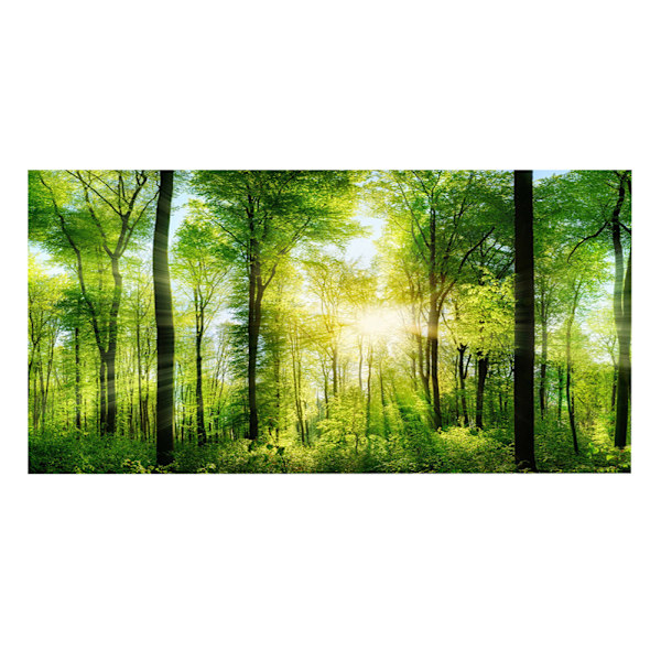 3D-effekt selvklebende skogsplakat for akvariedekorasjon 122 x 50 cm