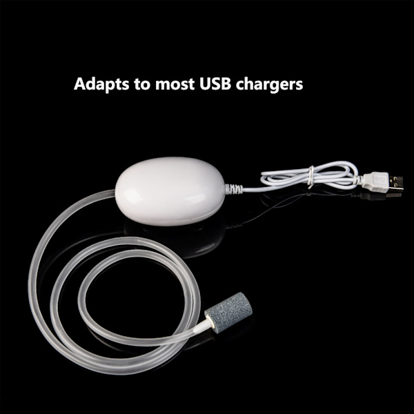 USB-drevet fiskeoksygenluftpumpe, bærbar luftpumpe til bil, utendørs luftpumpeetui, miniluftpumpe for akvarium